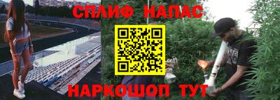 ГАЛЛЮЦИНОГЕННЫЕ ГРИБЫ Берёзовский