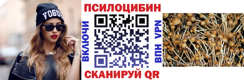 Галлюциногенные грибы Psilocybine cubensis  Учалы 