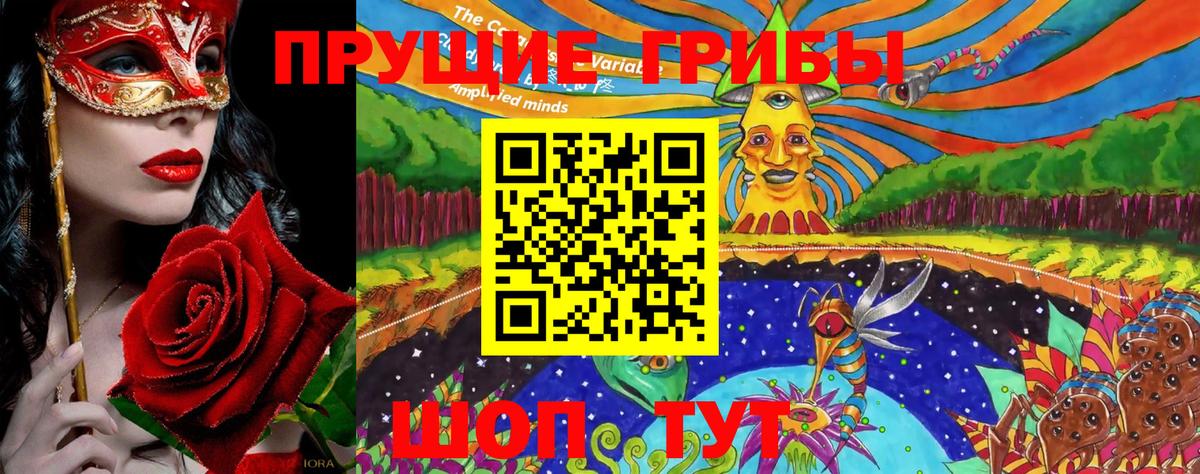 купить  цена  Учалы  Псилоцибиновые грибы мицелий 