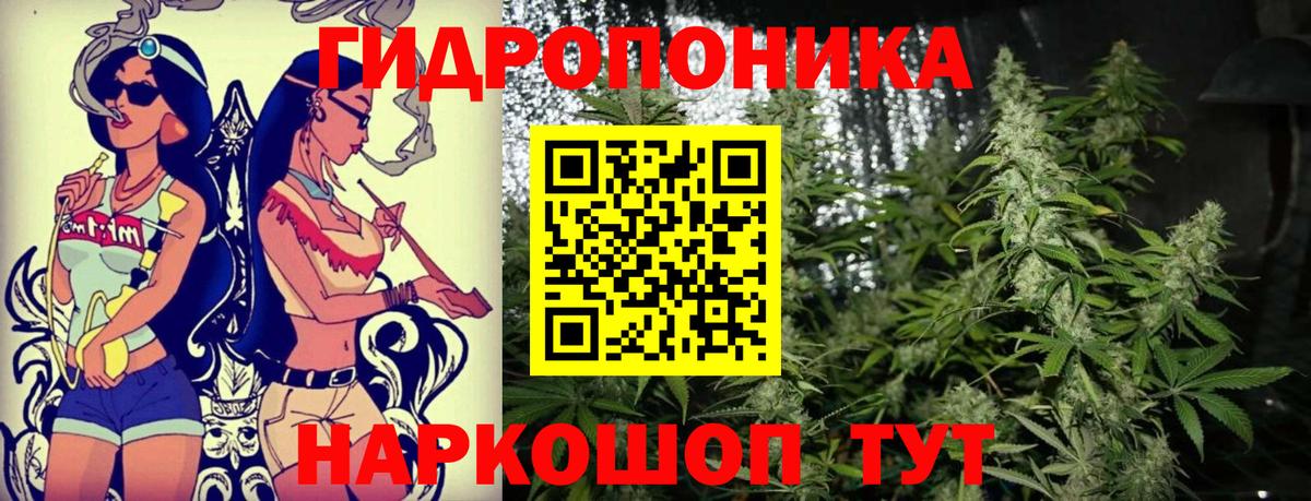 Бошки Шишки сатива  Учалы  Бошки Шишки SATIVA & INDICA  Бошки Шишки SATIVA & INDICA  Конопля Bruce Banner 